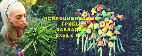ешки Арсеньев