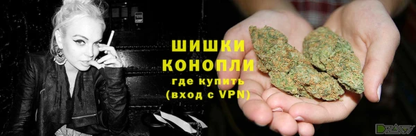 сатива Армянск