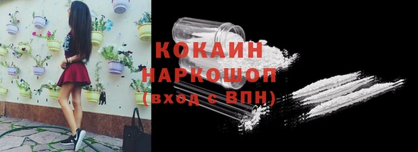 сатива Армянск