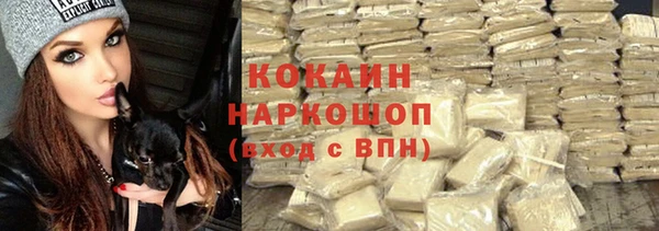 ешки Арсеньев